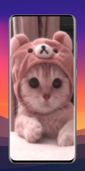 Cats 4K Wallpaper Screenshot 3