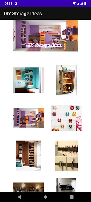 DIY Storage Ideas Screenshot 0