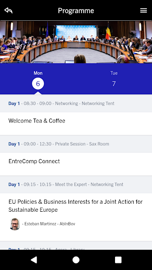 European Business Summit Screenshot 1