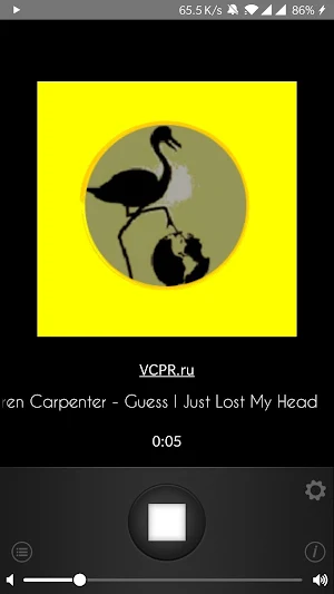 VCPRfm Screenshot 2