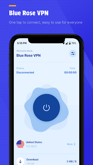 Blue Rose VPN Screenshot 2