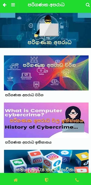 Presentation Screenshot 1