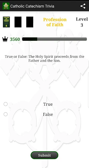 Catholic Catechism Trivia Screenshot 3
