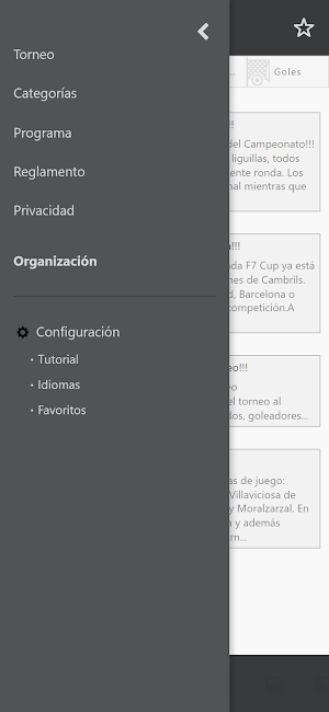 DeporteYTorneos Screenshot 0
