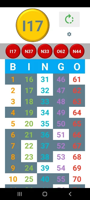 Bingo Caller Screenshot 3