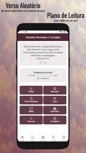 Almeida Revista e Corrigida Screenshot 0
