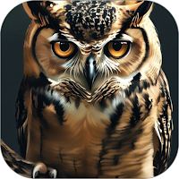 Burung Hantu WalL