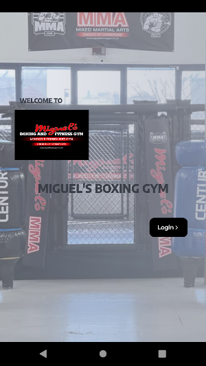 Miguel's Boxing Gym Screenshot 0