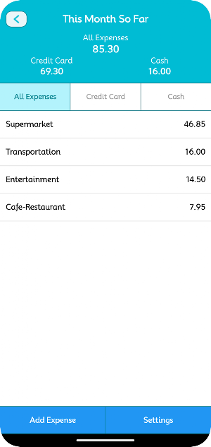 Spendings - Expense Management Screenshot 0