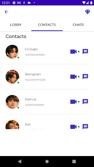 Seventeen Fake Video Call Screenshot 3