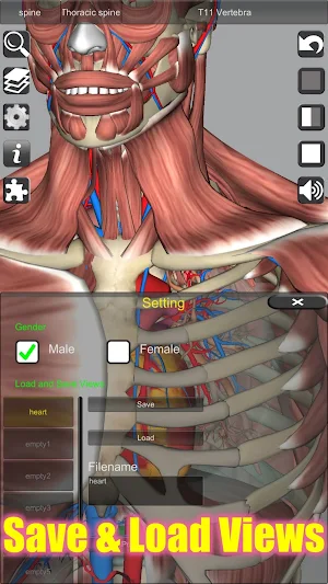 3D Anatomy Screenshot 3
