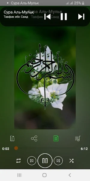Сура Аль-Мульк аудио Screenshot 1