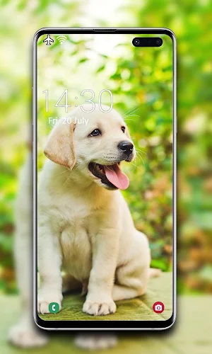Puppy Wallpaper 🐶 Screenshot 2