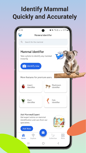 Mammal identifier Screenshot 0