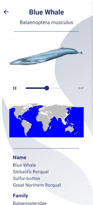 SCS - swiss cetacean society Screenshot 0