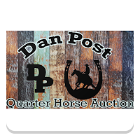 Dan Post Quarter Horse Auction