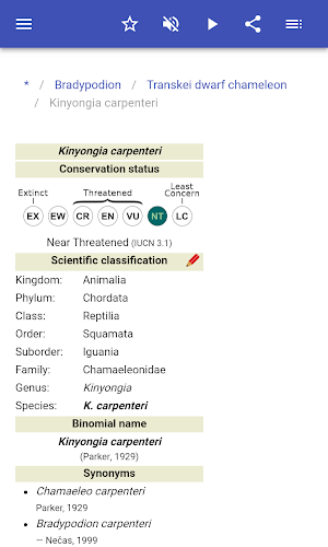 Chameleons Screenshot 3