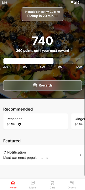 Horatio's Healthy Cuisine Screenshot 0