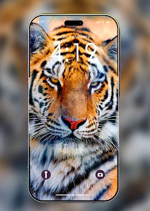 Tiger Wallpaper 4K Screenshot 0