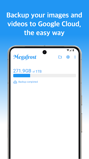 Megafrost - Backup your Media Screenshot 0