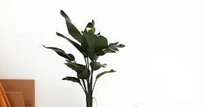 포도미술학원 Screenshot 1