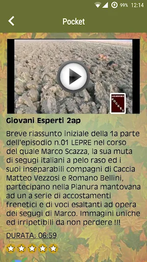Lugari Pocket Screenshot 3