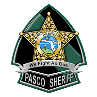 PSO PeerConnect