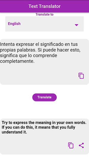 Spanish - English Translator Screenshot 2