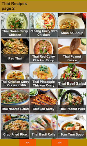 Thai Recipes Offline Screenshot 1