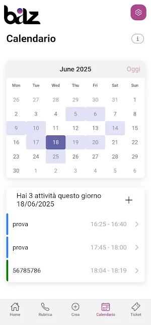 Near CRM Screenshot 2