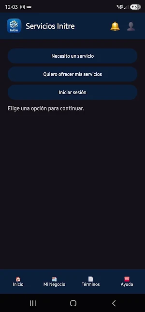 Servicios INITRE Screenshot 3