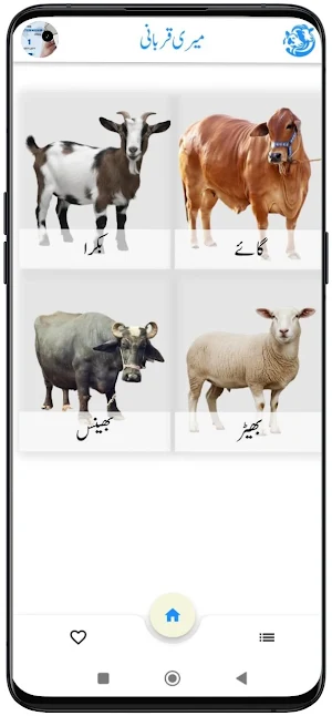 My Qurbani Screenshot 2