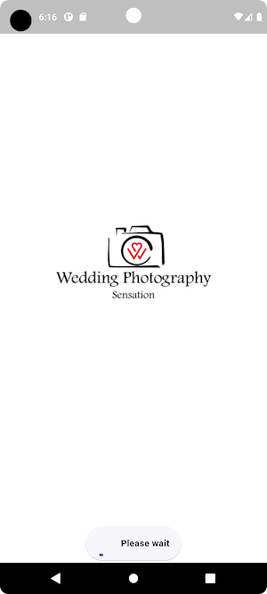 Wedding Photography Sensation Screenshot 0