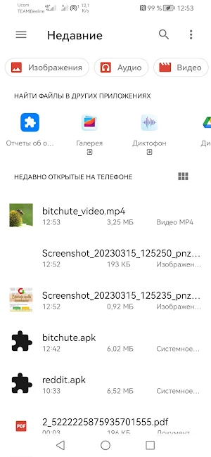 Bitchute media downloader Screenshot 2