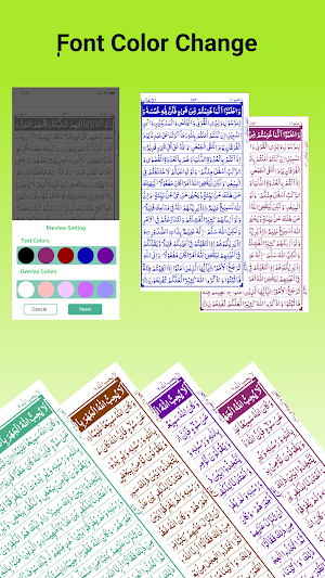 Al Quran: Holy Quran Offline Screenshot 3