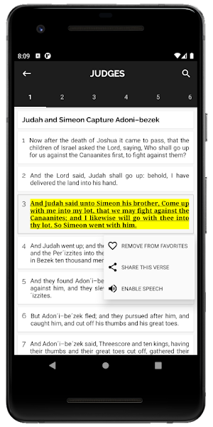 THE HOLY BIBLE Screenshot 2