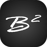 B2 Audio DSP Bluetooth Control