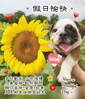假日愉快 Screenshot 1