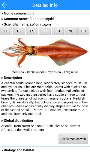 MadeiraFish Screenshot 3