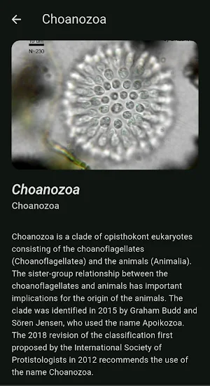 EvoTree Screenshot 1