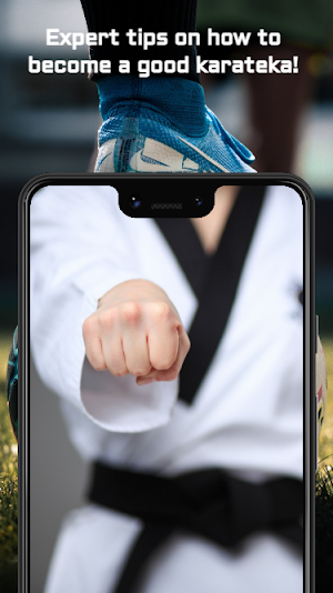 Karate Training Guide Screenshot 0