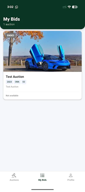 Wise Auction Screenshot 2