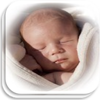 Desarrollo del Bebé 👶