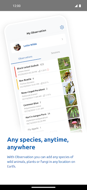 Observation Screenshot 2