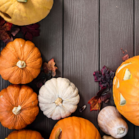 Pumpkin Wallpapers