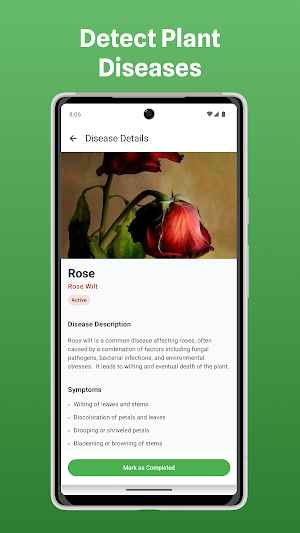 Plant Guide : Plant Identifier Screenshot 3