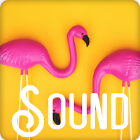 Flamingo Soundboard Ringtones