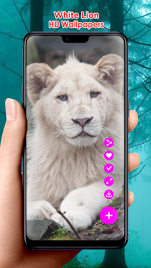 White Lion HD Wallpapers Screenshot 2