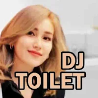 DJ Toilet