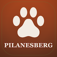 Pilanesberg Safari Guide